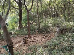 -南京金牛湖风景区