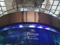 -OPEN開全日自助餐厅·牛肉火锅·海鲜(佛山希尔顿酒店)