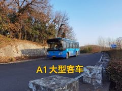 -狮麟驾校