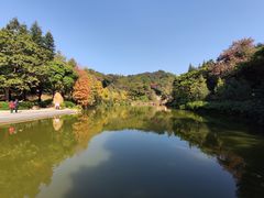 -云溪植物园