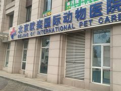 -欧奕国际动物医院