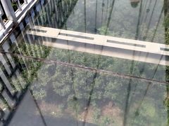 -石燕湖生态旅游景区