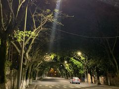 -南山植物园