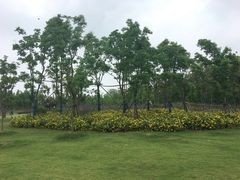 -上海长兴岛郊野公园