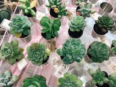 -KKV(深圳宏发大仟里店)