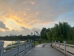 -南宁南湖公园