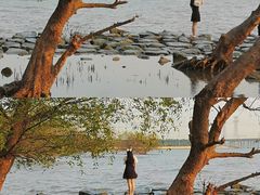 -宝安西湾红树林湿地公园