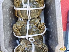 -蟹天蟹地农家菜·阳澄湖大闸蟹(浅水湾店)