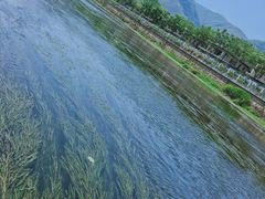 -杭州双溪漂流景区