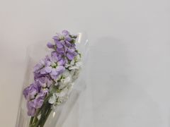 -四海公园(南山区)