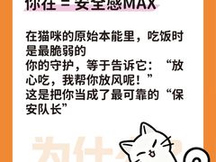 -睿金宠物医院·CT·肿瘤·骨外科