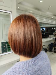 -镁连社·美联社