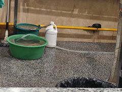 -英子补身汤(海兰路店)