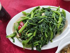 -蛇口康乐快餐鱼仔档(翠苑小区店)