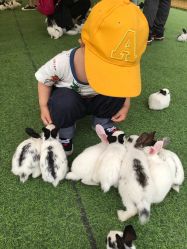 -萌宠亲子动物乐园(槐房万达店)