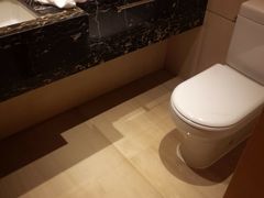 -广州天河合景福朋喜来登酒店