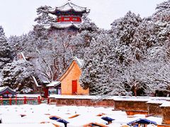 -沉浸北京·团建旅行·密室剧本杀·年会会议轰趴拓展
