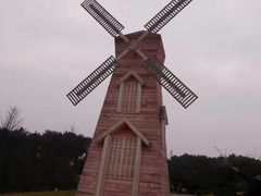 -铁山坪森林公园