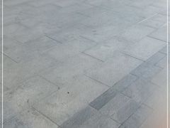 -洞庭鱼香(万科店)