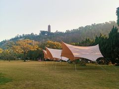 -南沙蒲洲花园