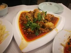 -天府乐园