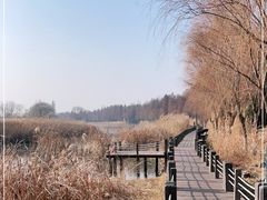 -苏州太湖湖滨国家湿地公园