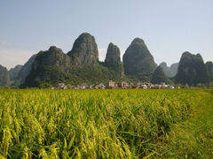 android_upload_pic-钟山水墨田园