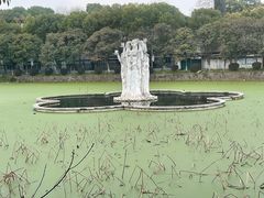 -谷咖啡·鲜花绿植花园餐厅