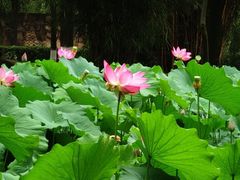 -塔子山公园