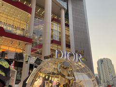 -Dior迪奥(上海世茂广场店)