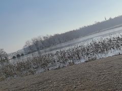 -长春市南湖公园