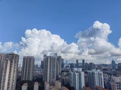 -福田红树林生态公园