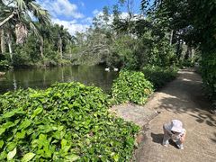 -海南热带野生动植物园