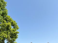 -阿育王寺