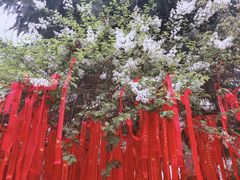 -西安青龙寺遗址景区