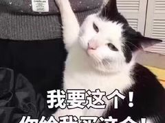 -奈雪的茶(新天地广场PRO店)