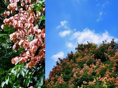 -苏州河梦清园环保主题公园