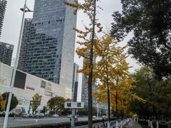 -天鹅湖体育公园