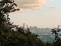 -火炉山森林公园