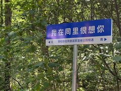 -同里国家湿地公园