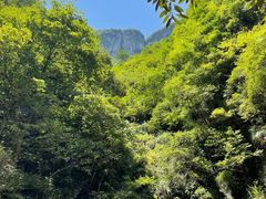 -五台山风景名胜区