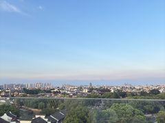 -顽啤熊·酒客酒馆(苏城夜景必选店)