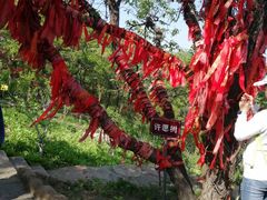 -云台山风景名胜区