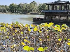 -湘湖大院(越王路店)