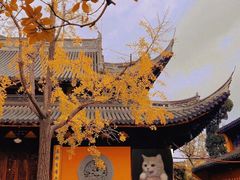 -龙华寺