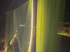 -北仑森林植物园