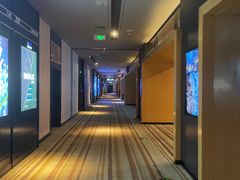 -博纳国际影城IMAX(中央大道店)