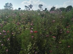 -长春世界雕塑园冰雪艺术天地