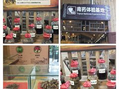 -海南槟榔谷黎苗文化旅游区
