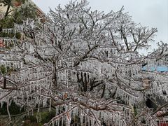 -益健·足疗汗蒸SPA(芙蓉广场店)